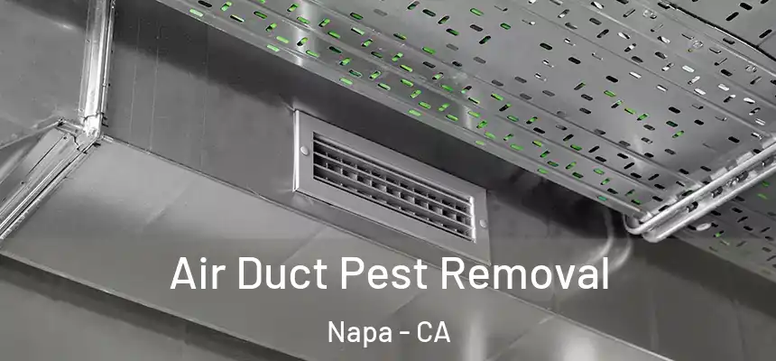 Air Duct Pest Removal Napa - CA