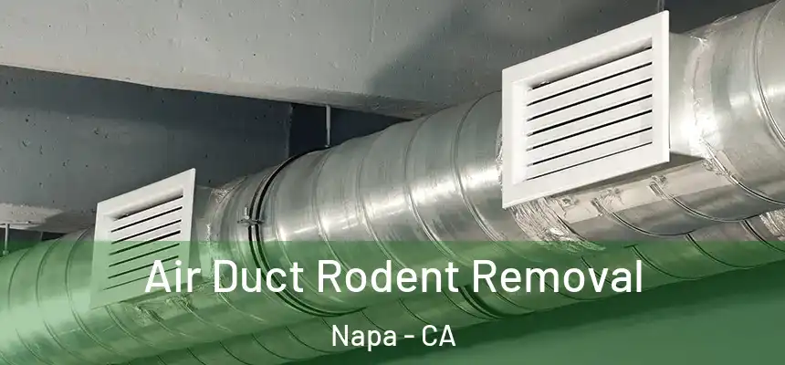 Air Duct Rodent Removal Napa - CA