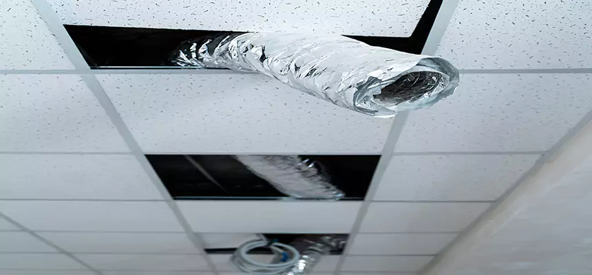 Our Air Duct Pet Hair Removal Services in Napa, CA