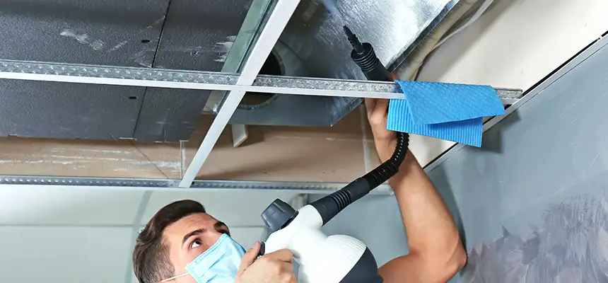 Our Air Duct Rodent Removal Services in Napa, CA