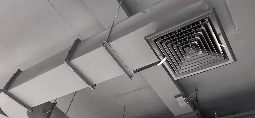 Restorative Allergy Relief Vent Cleaning – Coil, Blower & Housing Detail in Napa