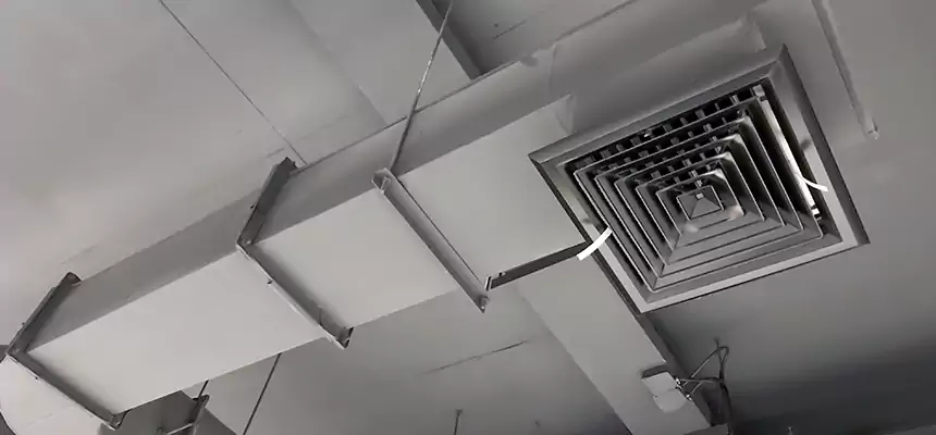 Our Pest Removal From Ducts Services in Napa, CA