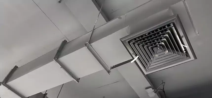 Our Rodent Droppings In Vents Services in Napa, CA