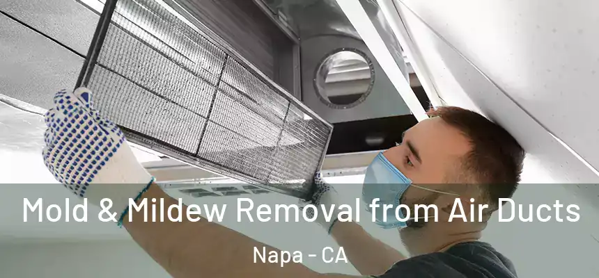Mold & Mildew Removal from Air Ducts Napa - CA