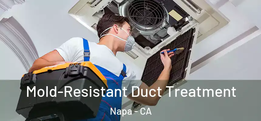 Mold-Resistant Duct Treatment Napa - CA