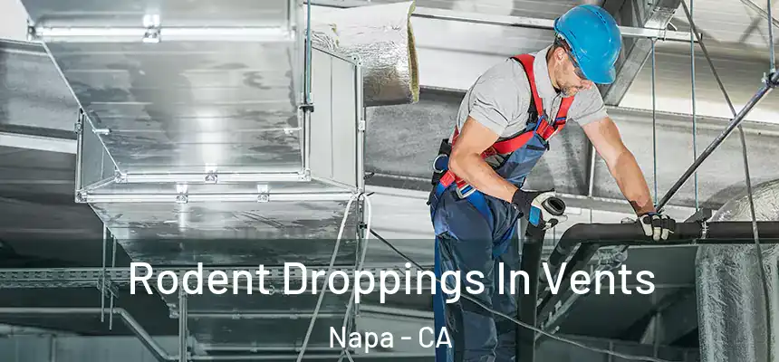 Rodent Droppings In Vents Napa - CA