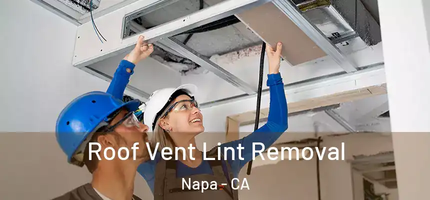 Roof Vent Lint Removal Napa - CA