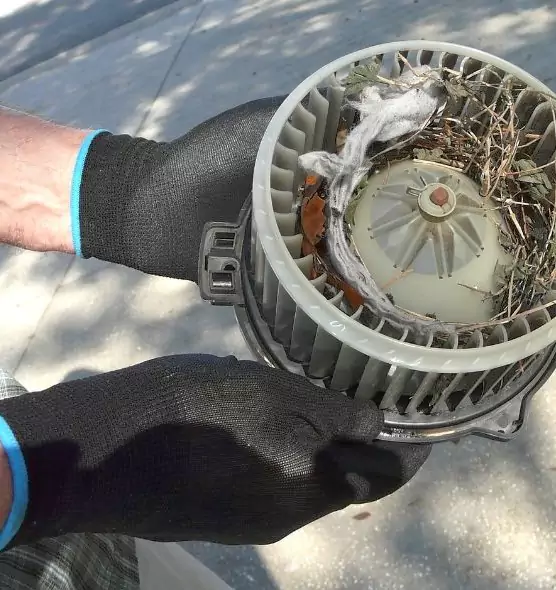 About Air Duct Mice Removal in Napa, CA