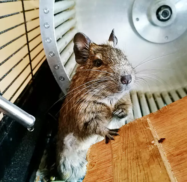 Why Homeowners & Businesses Trust Us Napa, CA