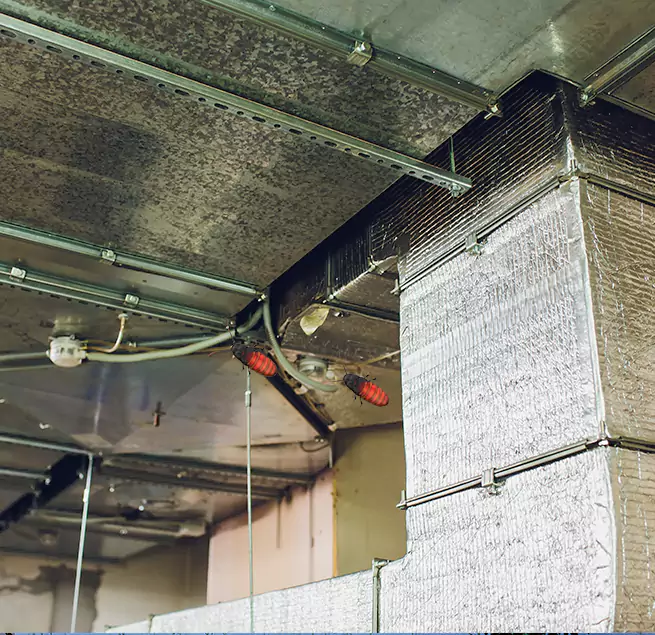 Why Homeowners & Businesses Trust Us Napa, CA?