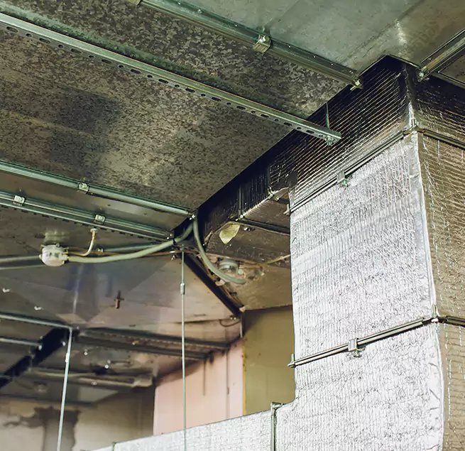 Why Homeowners & Businesses Trust Us in Napa, CA?